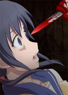 49411.jpg