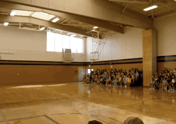 giphy-3.gif