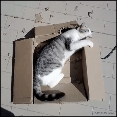 tumblr_ogswt5uUOF1tyncywo1_400.gif