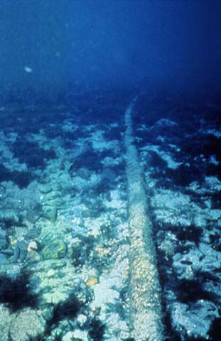 underwater_cable.jpg