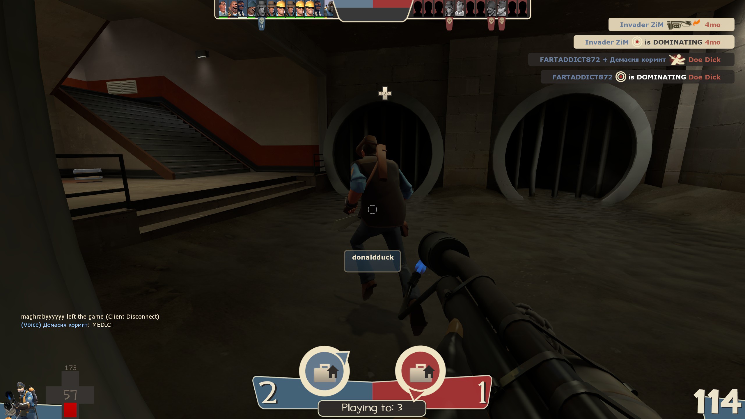 catqasi.png