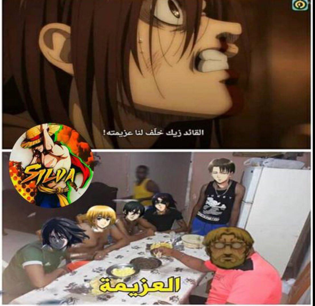 237473892.jpeg