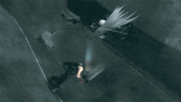 tumblr_msqfs9Drix1qbbsvdo1_250.gif