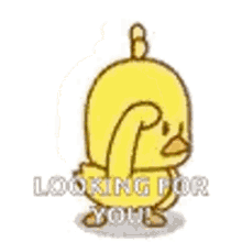 duck-looking.gif