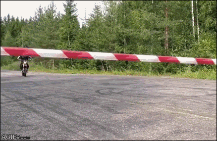 MjOlsF1.gif