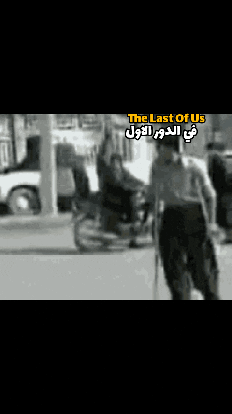 In-Shot.gif