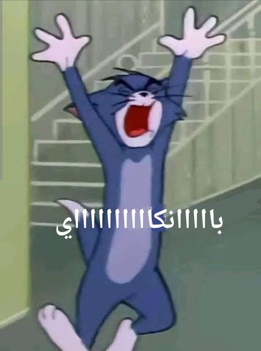 i5xwWG2.jpg