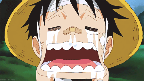 tumblr_mdcfeuJw931rkrqgwo1_500.gif