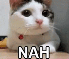 nah-no.gif