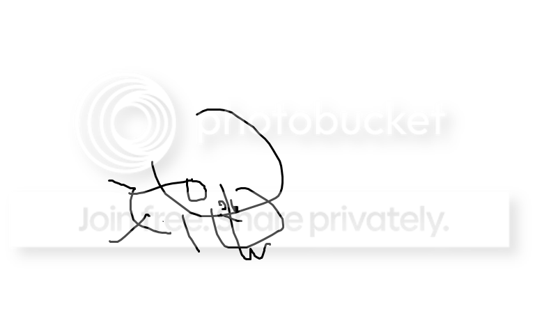 samg.png