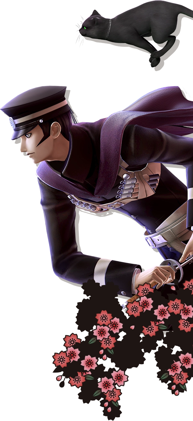 system-raidou.webp