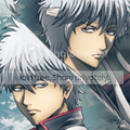 Gin-Split-3.png
