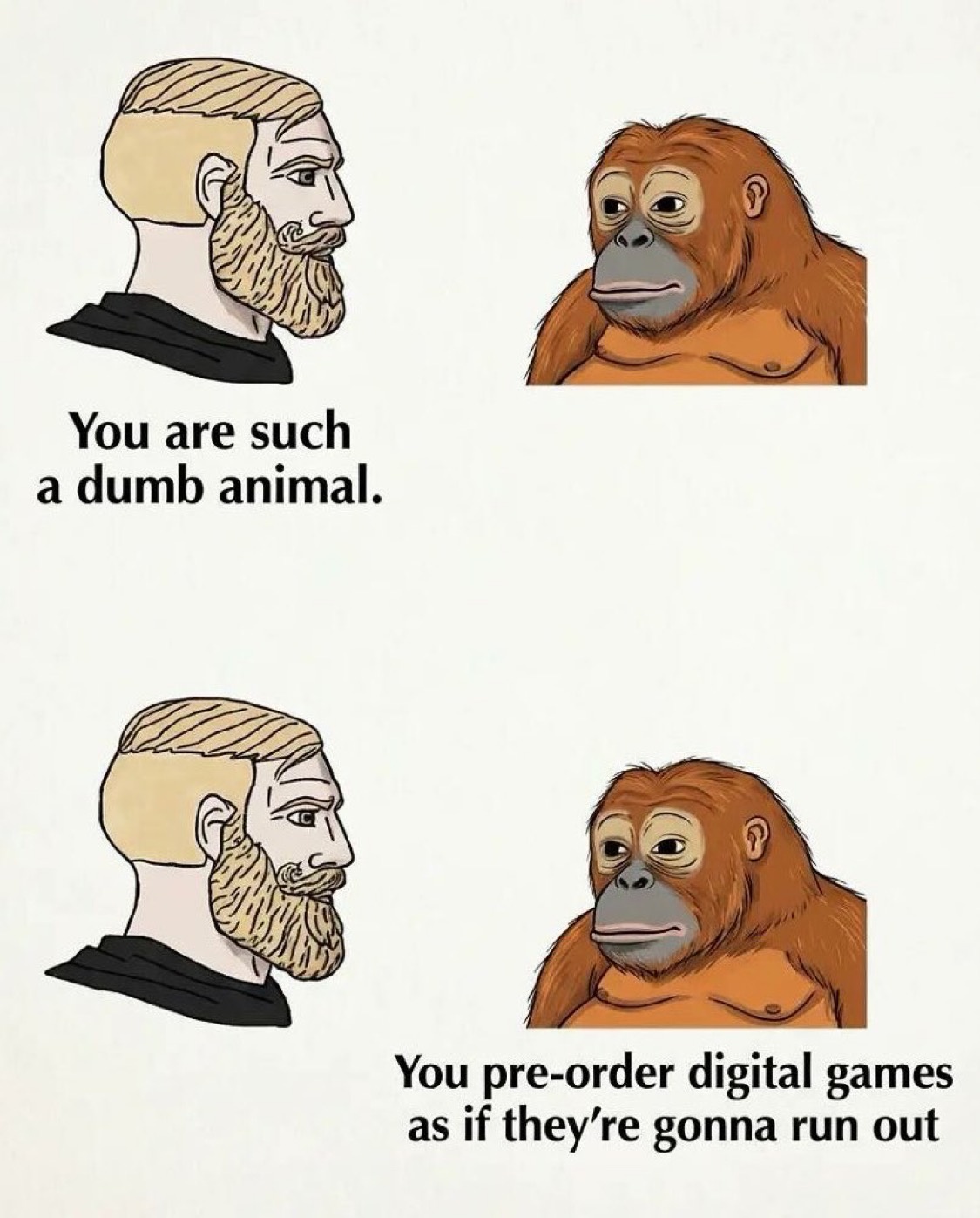 8xpZ4ih.jpeg