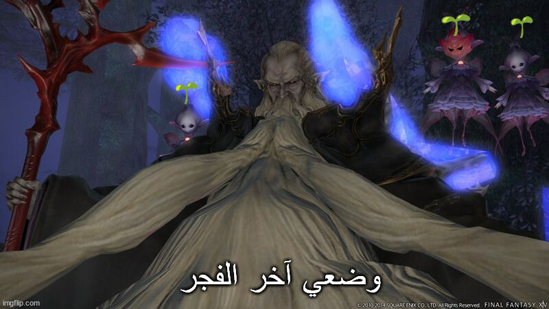 8ctyqf.jpg