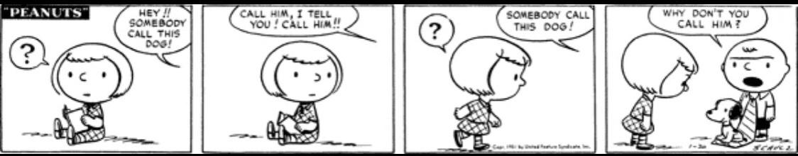 LzQigZo.jpg