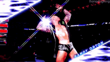 randy-orton-wwe.gif