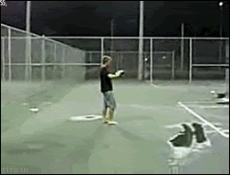 f5baz.gif