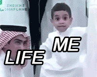 tumblr_nbc74r8WnL1rikbxjo1_250.gif