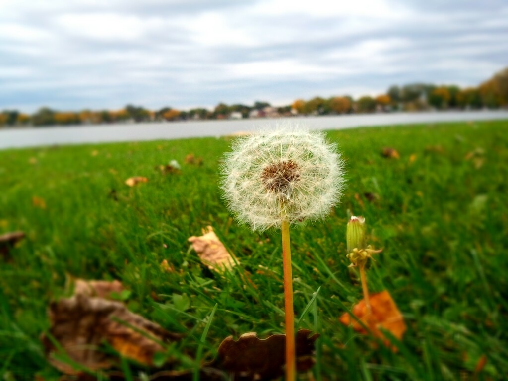 5024575607_3f11412dc2_b.jpg