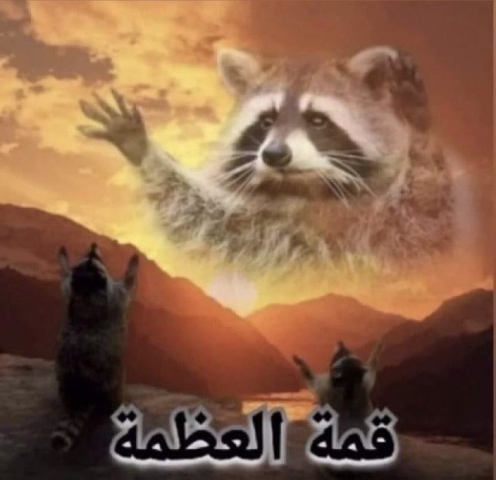 ku40Ogw.jpeg