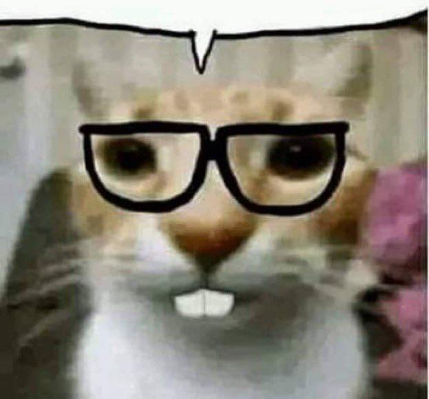u1hljNH.jpeg