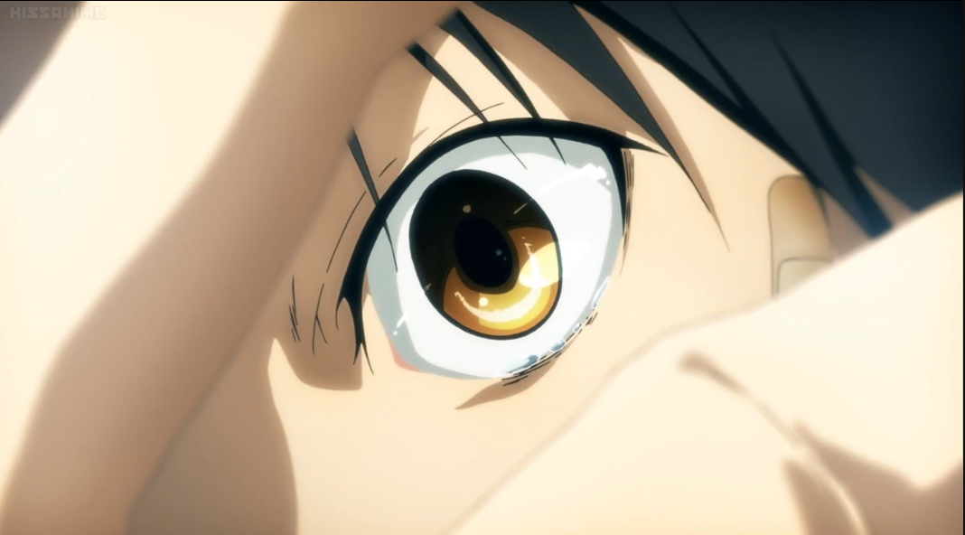 SLsfx8U.png