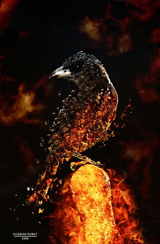 ribatbird.jpg