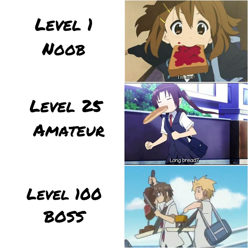 11222221.jpg