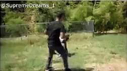 fight-runaway.gif
