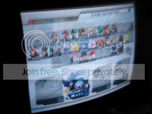 SSBBRoster2.jpg