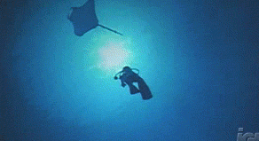 Blue.gif
