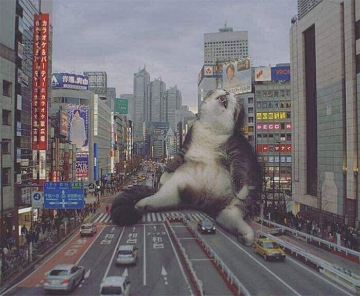DS0SPPK.jpg