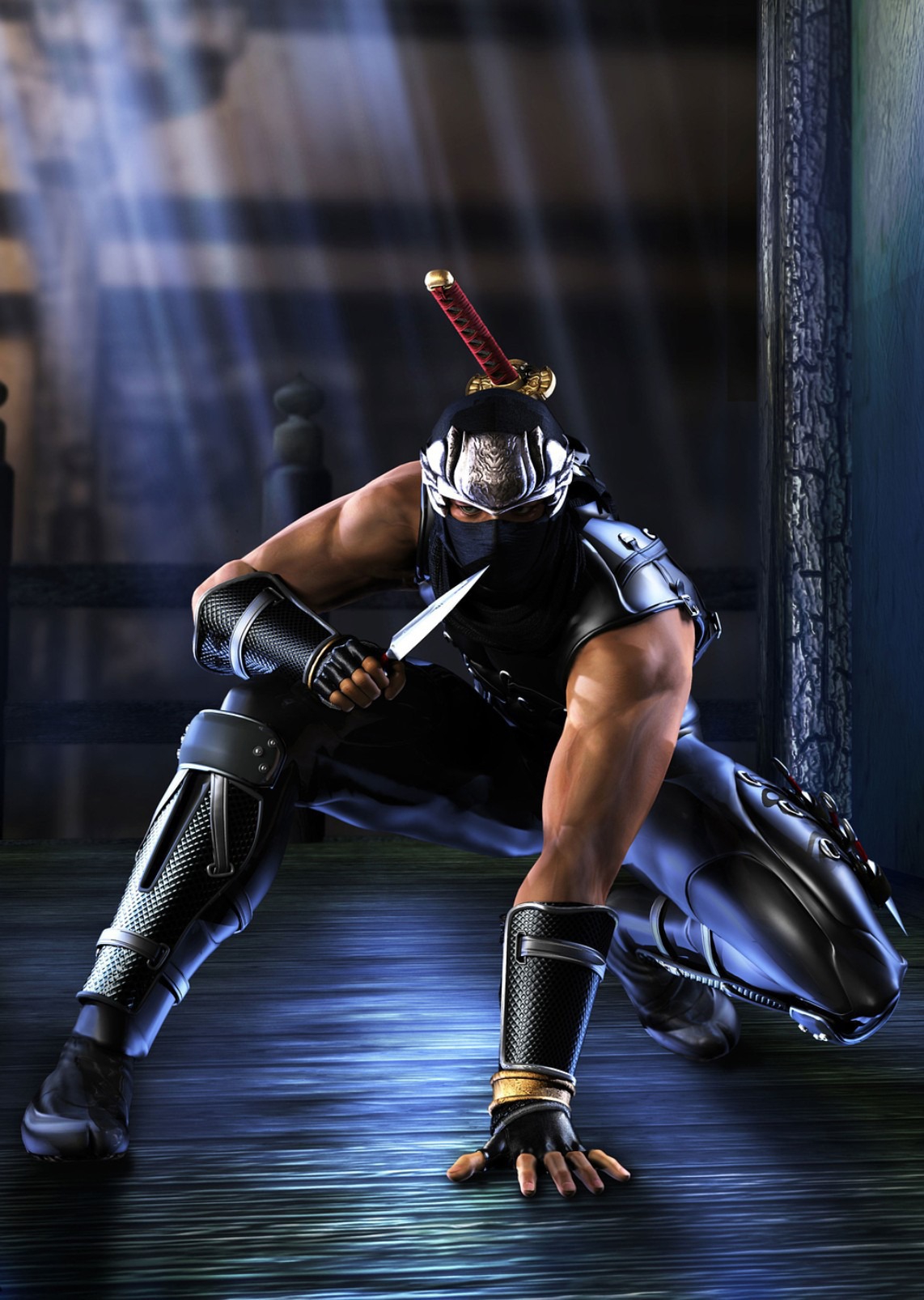1823824-ninja_gaiden_boxart.jpg