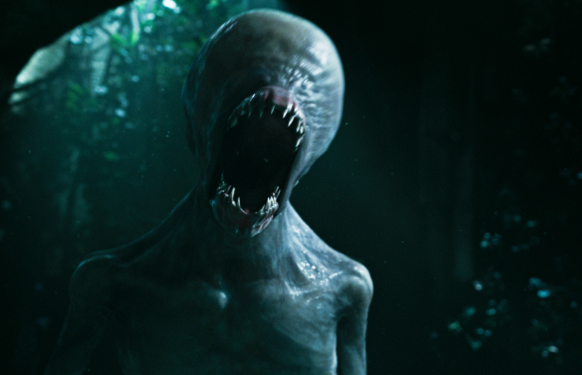 aliencovneolunge.jpg