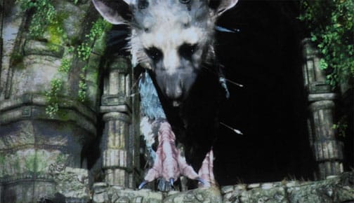 Trico.jpg