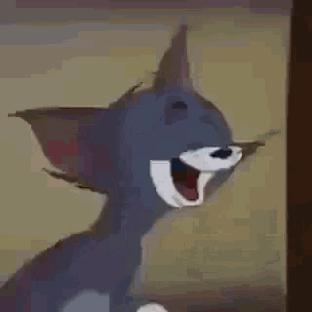 tenor.gif