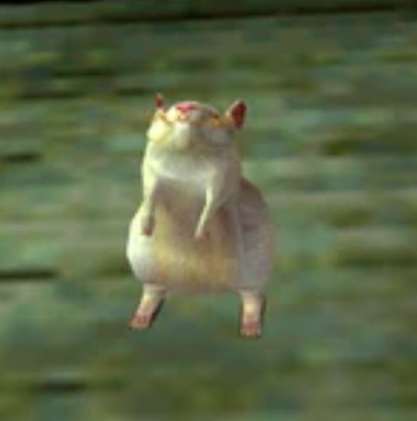 Fs7DGfVWYAIGQqZ.jpg