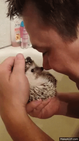 giphy.gif