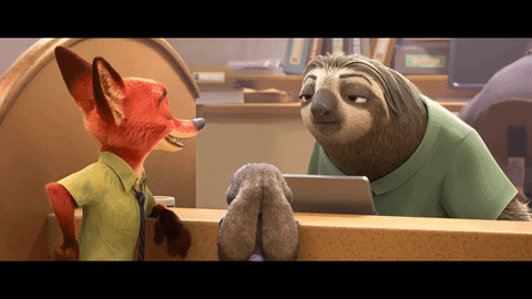 8Ms5WkbhUsz4Y.gif