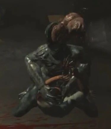 RE6_Rasklapanje1.jpg