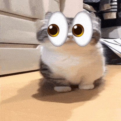 boois-rags-cat.gif