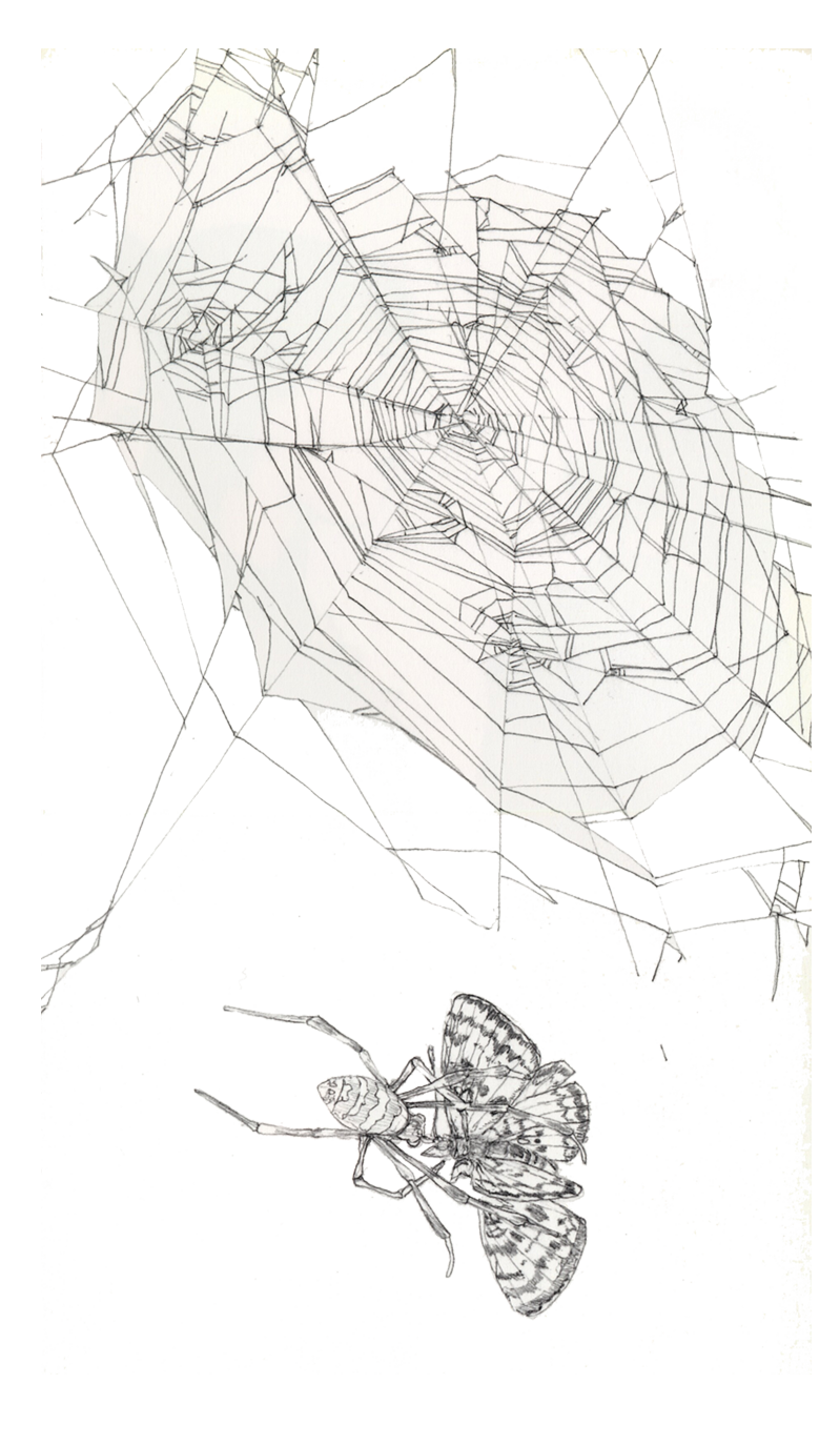 n2QfgHD.png