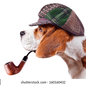 beagle-cap-isolated-on-white-260nw-160160432.jpg