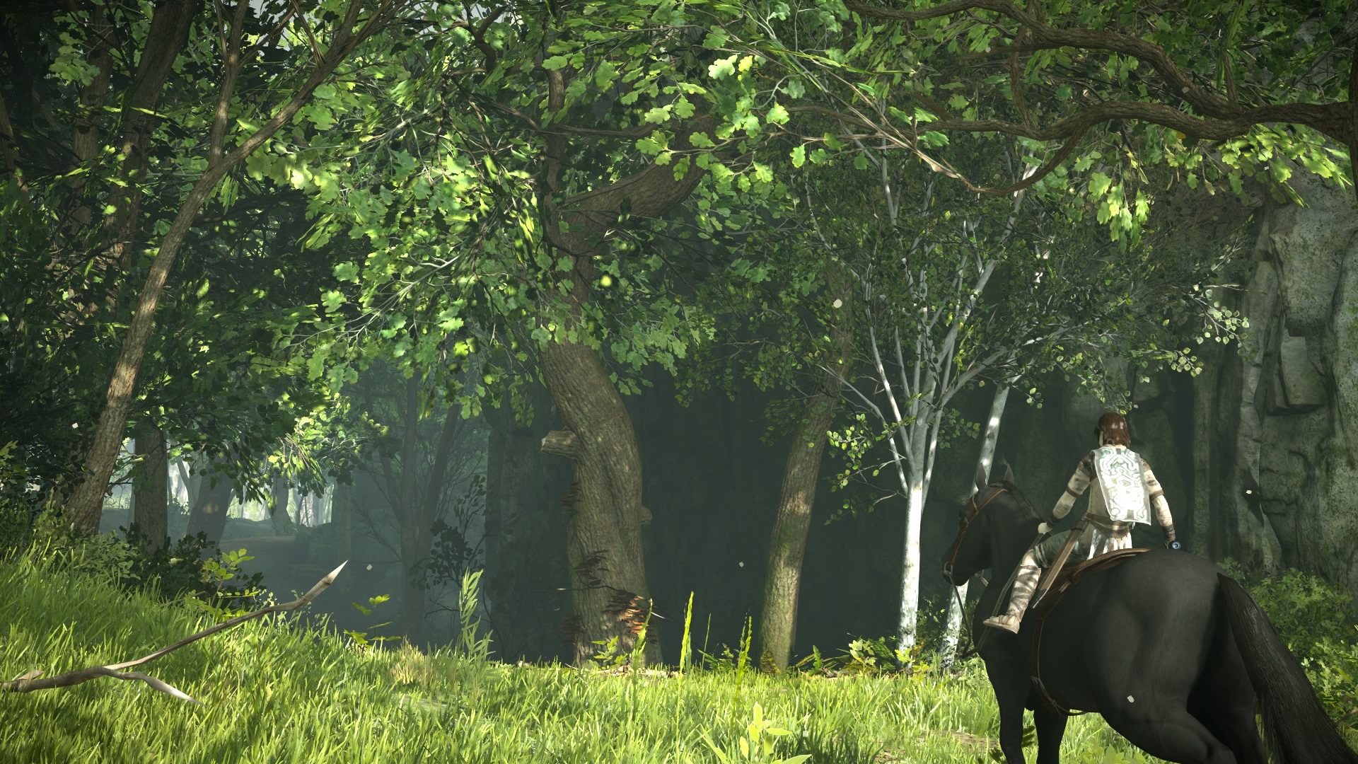SHADOW_OF_THE_COLOSSUS_20180216181205.jpg