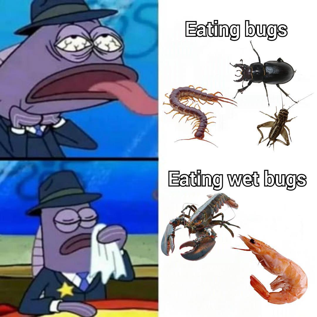 vmszKdZ.jpg