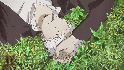 tumblr_myweb4F0LY1rkmjjzo1_500.gif