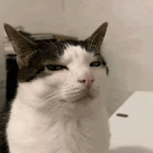 seriously-not-amused.gif