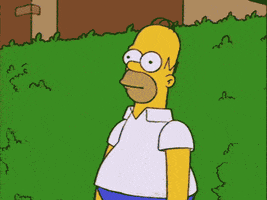 UoPYh7b.gif