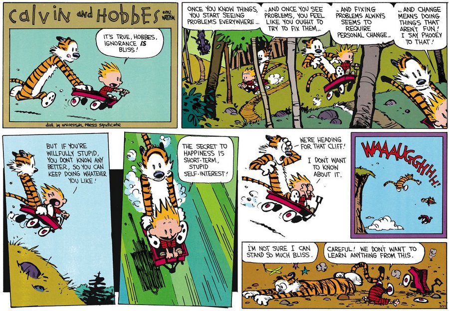 calvin-and-hobbes1.jpg