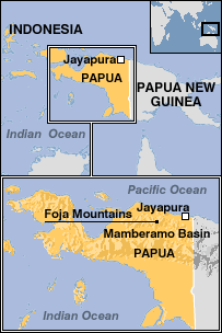 _41302888_indo_papua_relief_map203.gif